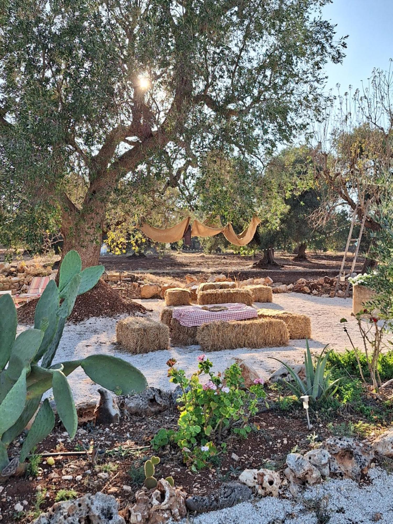 Residenza Anima Mediterranea Francavilla Fontana Extérieur photo