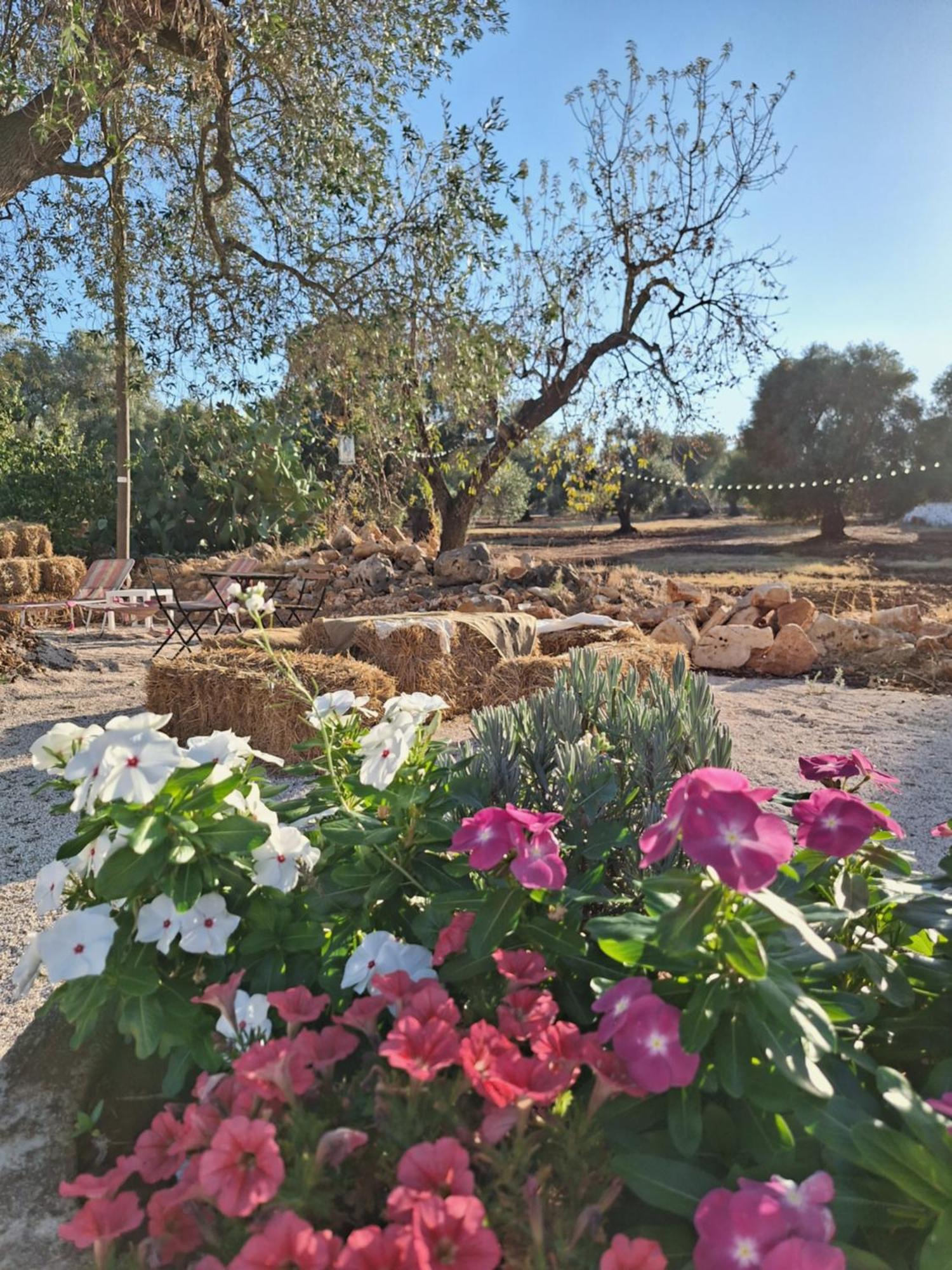 Residenza Anima Mediterranea Francavilla Fontana Extérieur photo