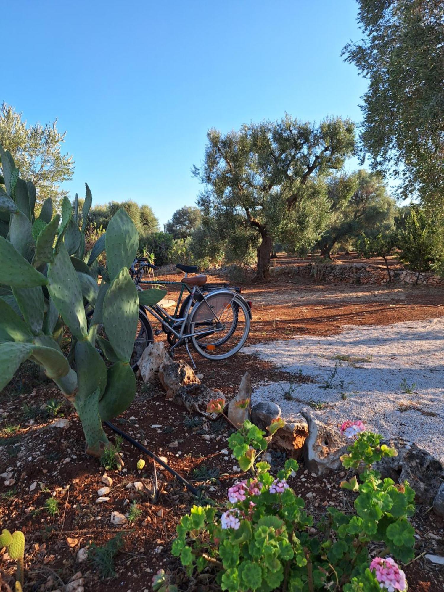 Residenza Anima Mediterranea Francavilla Fontana Extérieur photo
